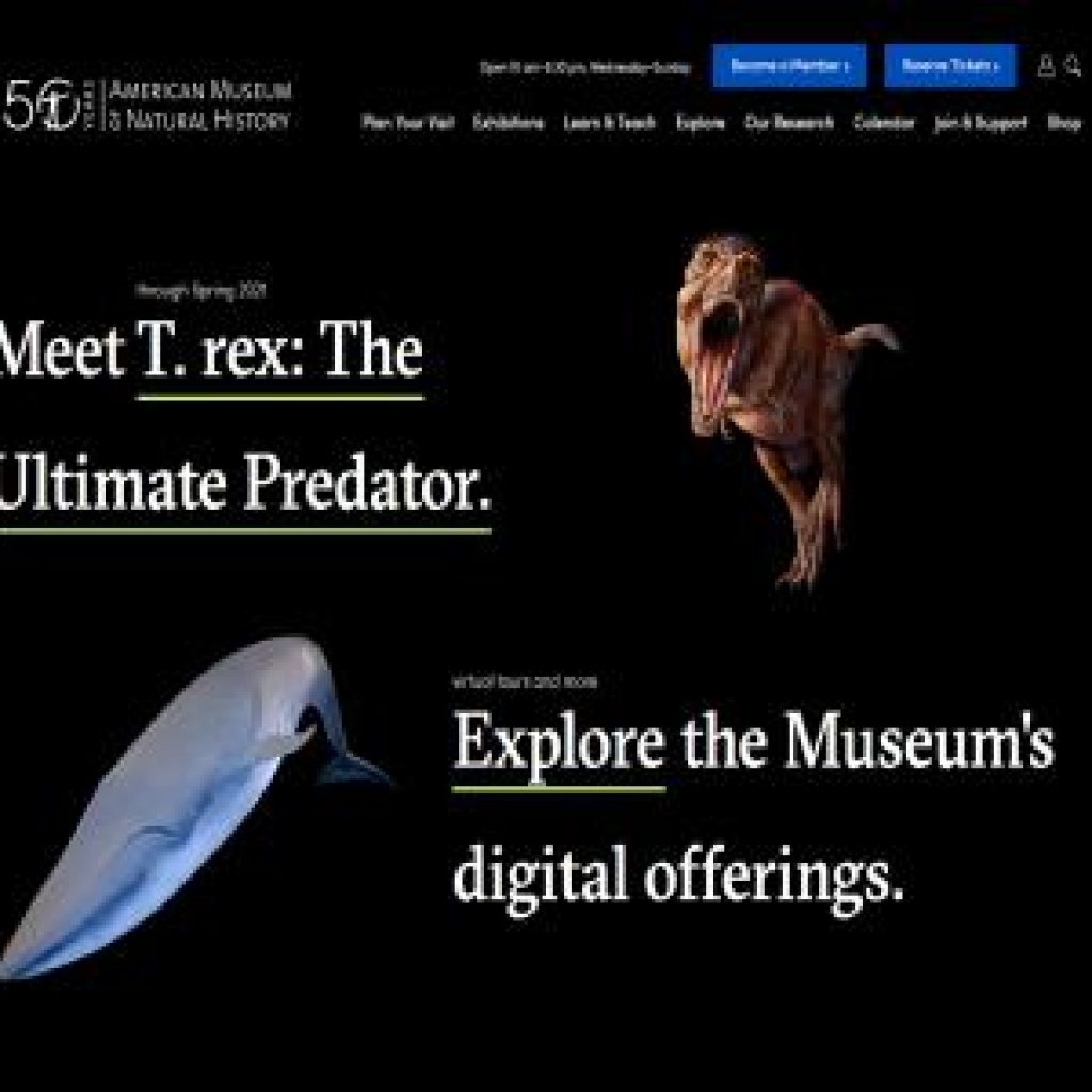 American Museum of Natural History